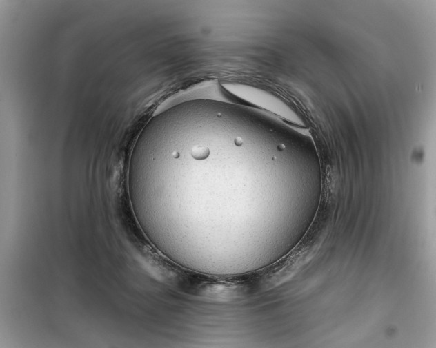 X0000099490364200805291111