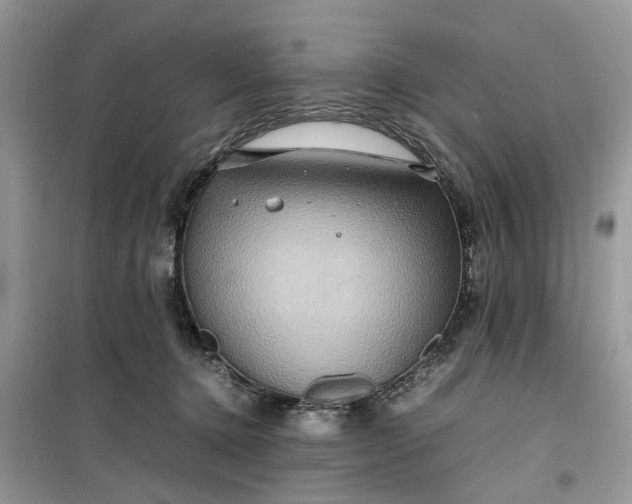 X0000099490368200805291112