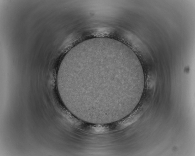 X0000099490370200805291112