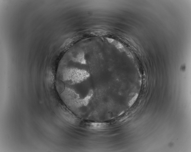 X0000099490371200805291112