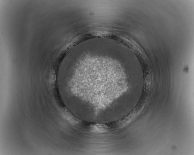 X0000099490372200805291112