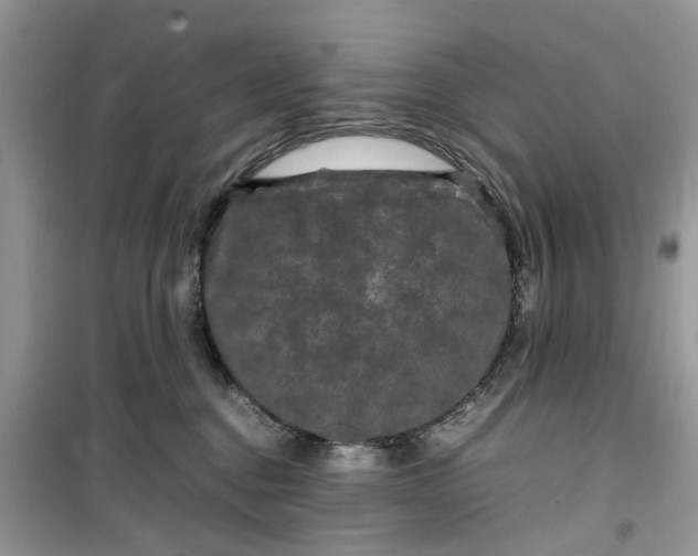 X0000099490376200805291112