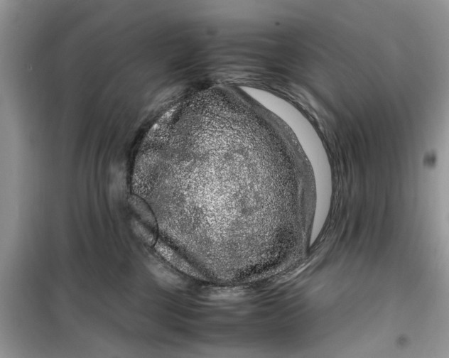 X0000099490377200805291112