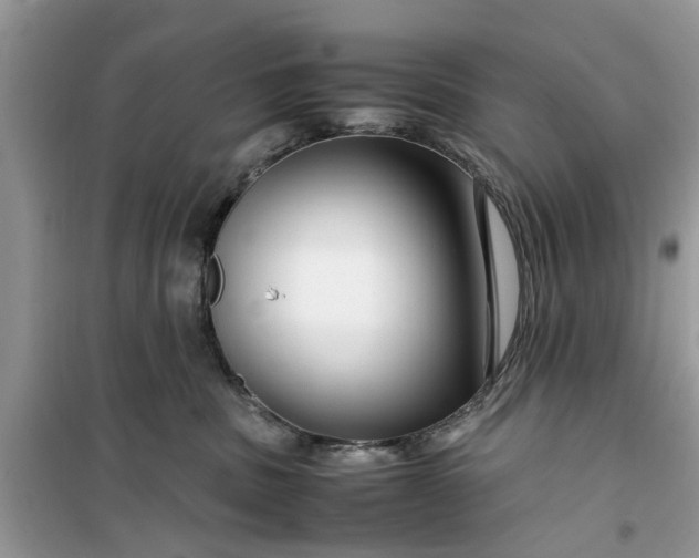 X0000099490379200805291112