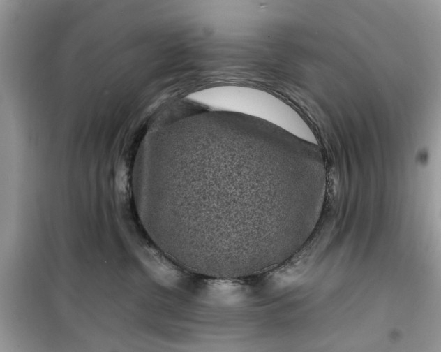 X0000099490380200805291112