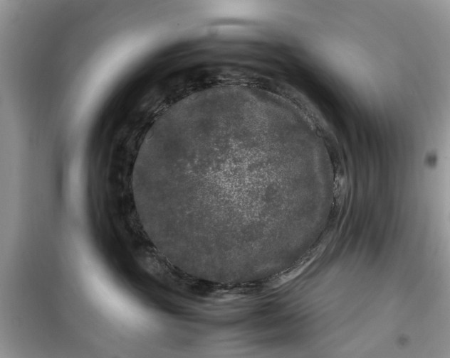 X0000099490381200805291112