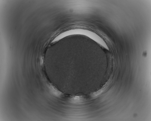 X0000099490382200805291112