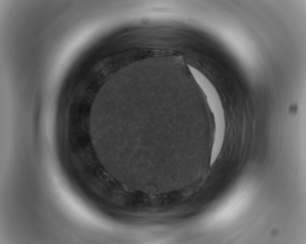 X0000099490383200805291112