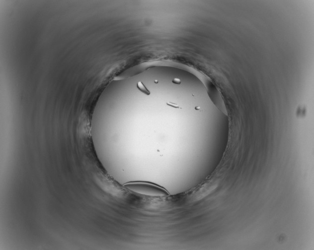 X0000099490384200805291112