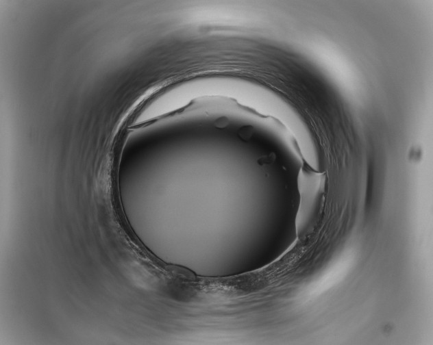 X0000099490387200805291111