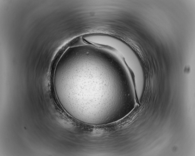 X0000099490388200805291111