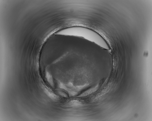 X0000099490390200805291111