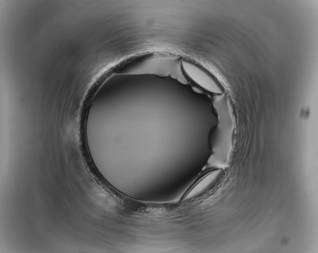 X0000099490391200805291111