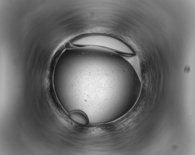 X0000099490392200805291111