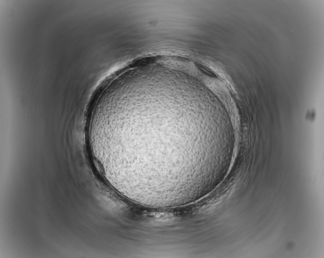 X0000099490395200805291111