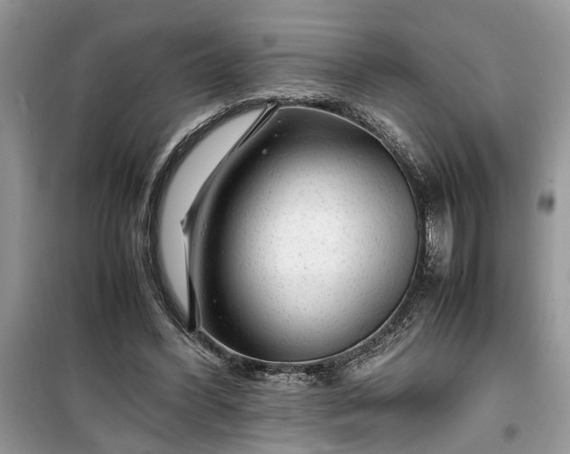 X0000099490396200805291111