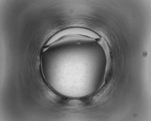 X0000099490397200805291111