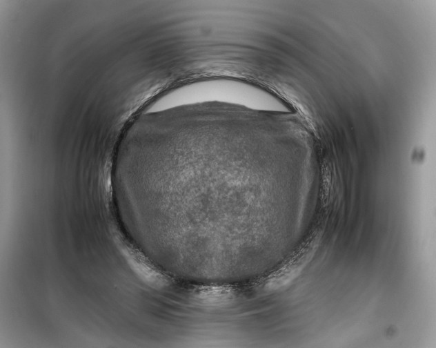 X0000099490398200805291111