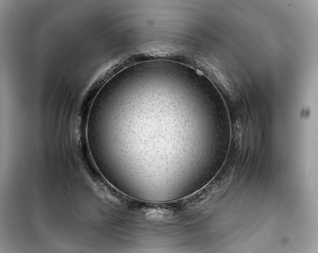 X0000099490400200805291111