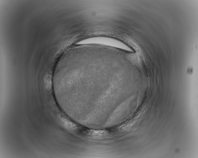 X0000099490401200805291111