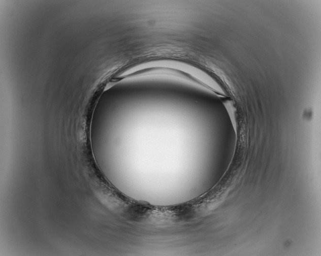 X0000099490403200805291111