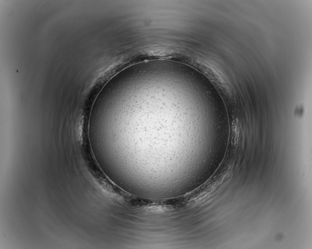 X0000099490404200805291111