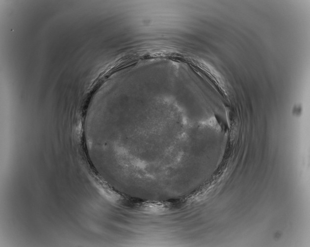 X0000099490405200805291111