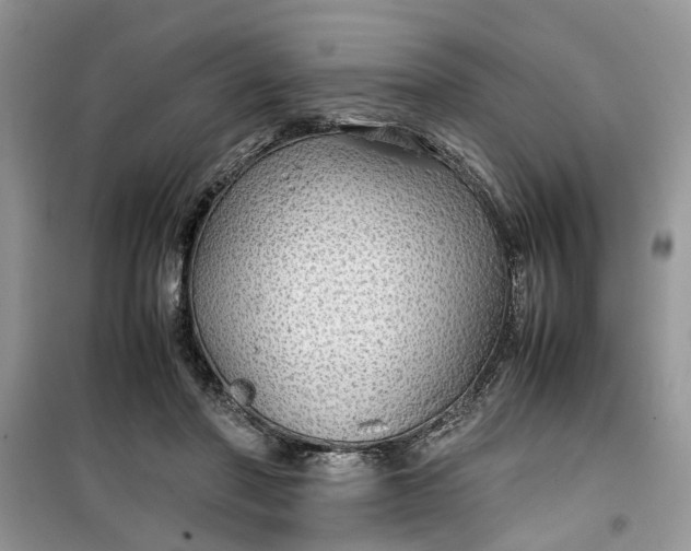 X0000099490406200805291111