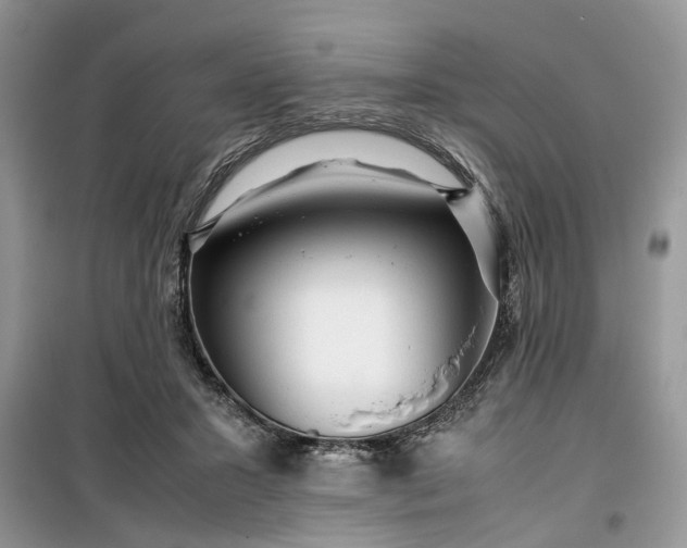 X0000099490407200805291111