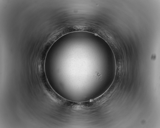 X0000099490408200805291111