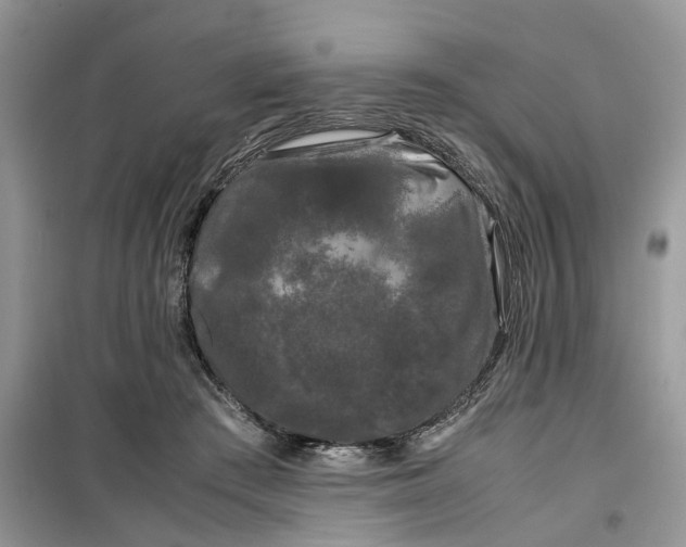 X0000099490409200805291111