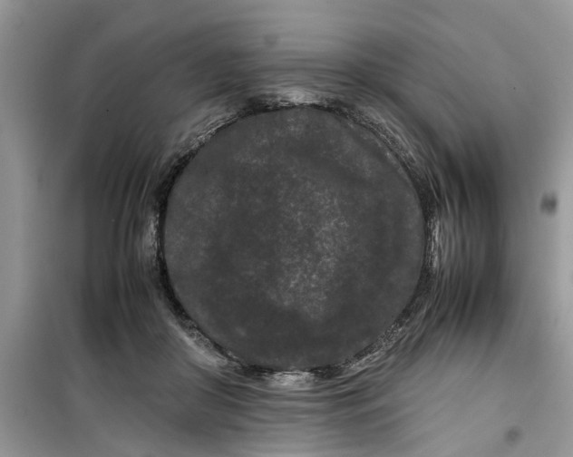 X0000099490410200805291111