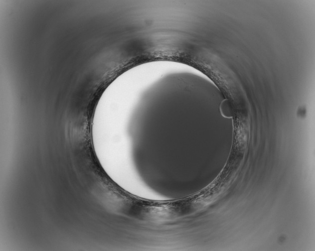 X0000099490411200805291111