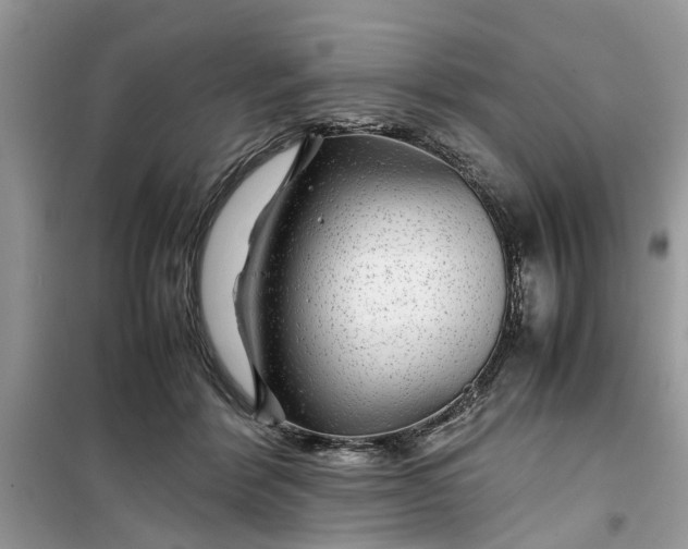 X0000099490412200805291111