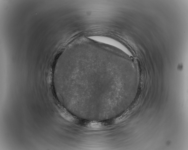 X0000099490413200805291111