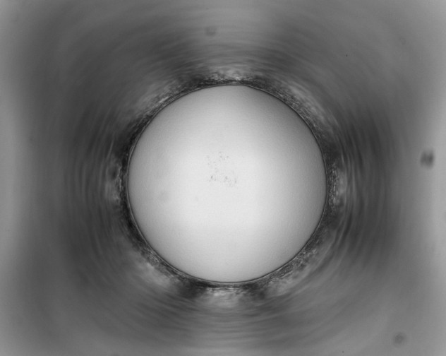 X0000099490414200805291111