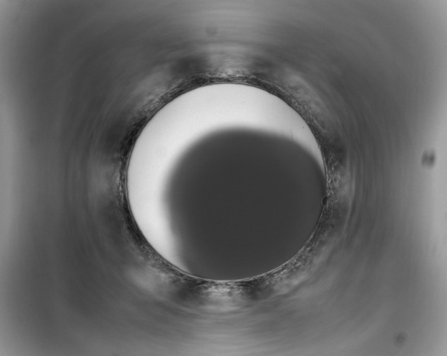 X0000099490415200805291111