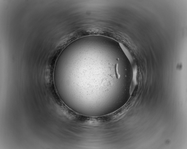 X0000099490416200805291111