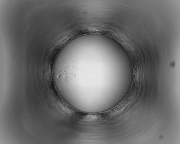 X0000099490418200805291111