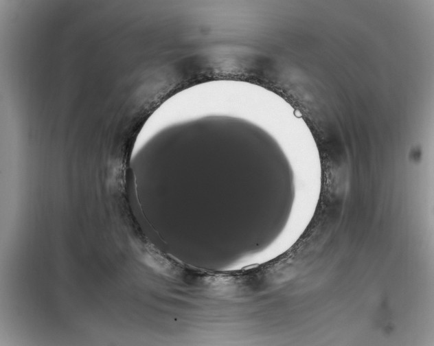 X0000099490419200805291111