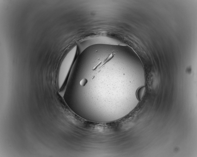 X0000099490420200805291111