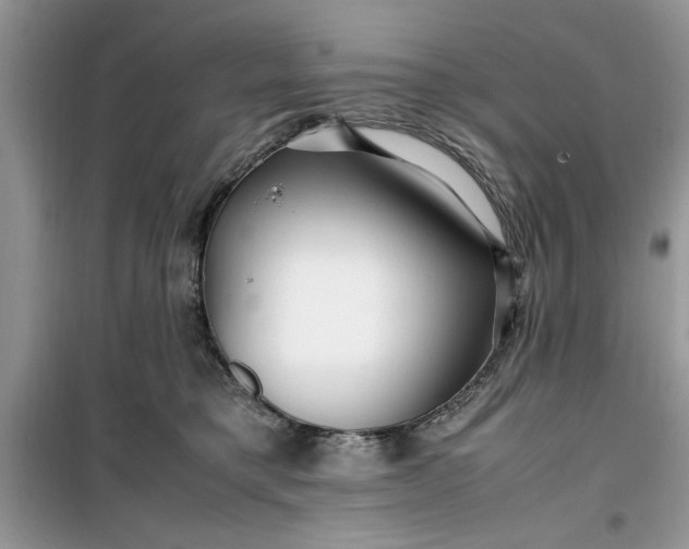 X0000099490421200805291111