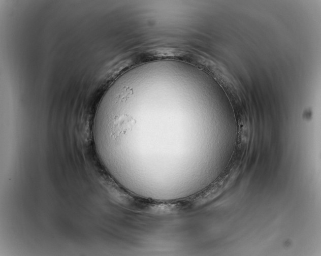 X0000099490422200805291111