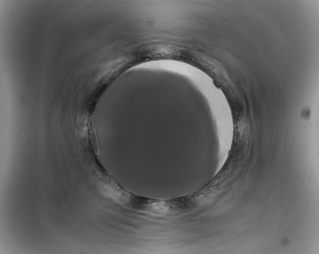 X0000099490423200805291111