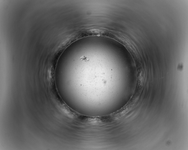 X0000099490424200805291111