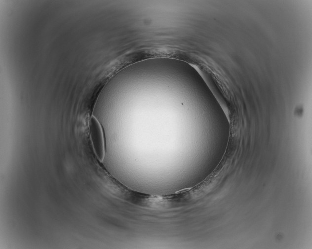 X0000099490425200805291111