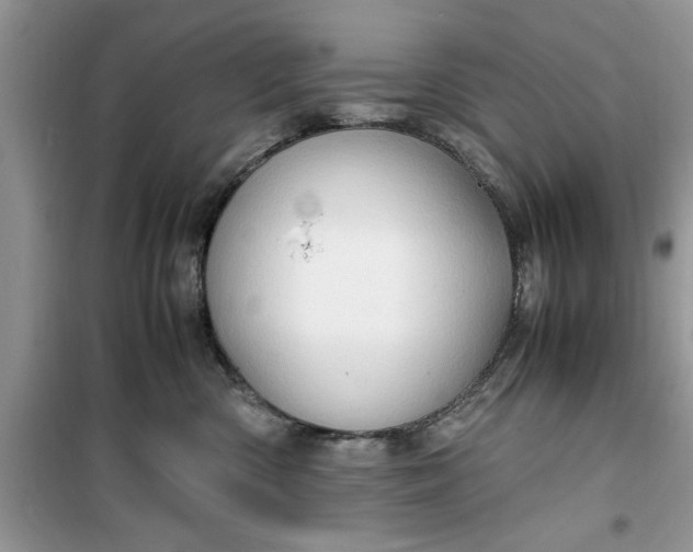 X0000099490426200805291111