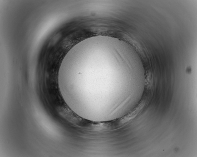 X0000099490430200805291111