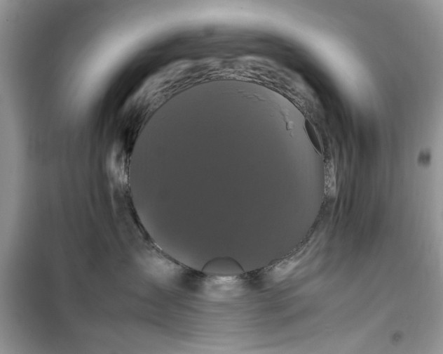 X0000099490431200805291111