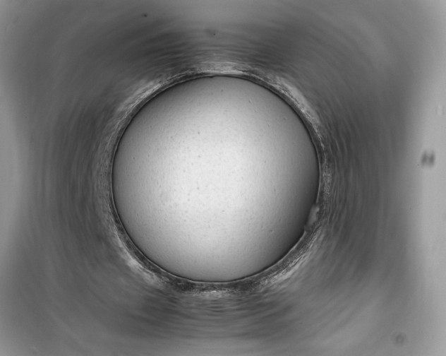 X0000099490433200805291110